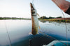 Beginner's Guide to Freshwater Fishing: Lakes, Rivers, and Ponds - BUZZERFISH