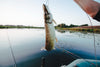 Hook, Line, and Sinker: Demystifying Fishing Terminology - BUZZERFISH