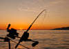 The Night Owl's Guide to Night Fishing Success - BUZZERFISH