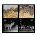 850nm Infrared Hunting Scope - BuzzerFish