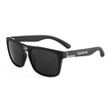 Daiwa Fishing Sunglasses - BuzzerFish